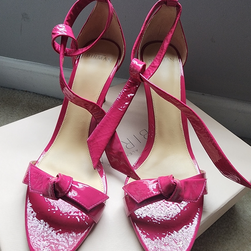 Beautiful Alexandre Birman Open two sandals.
